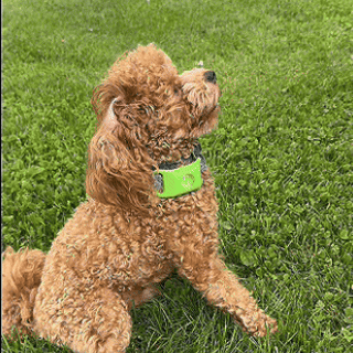 multicolumns-item-image-3